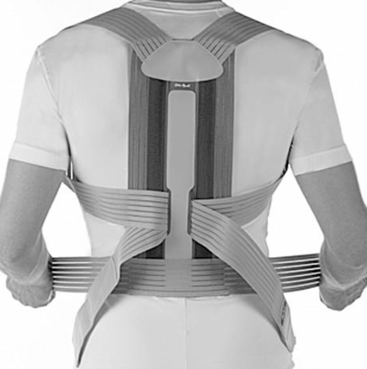 Корректор осанки реклинирующий Dorso Carezza Posture Otto Bock 50R49 фото 5